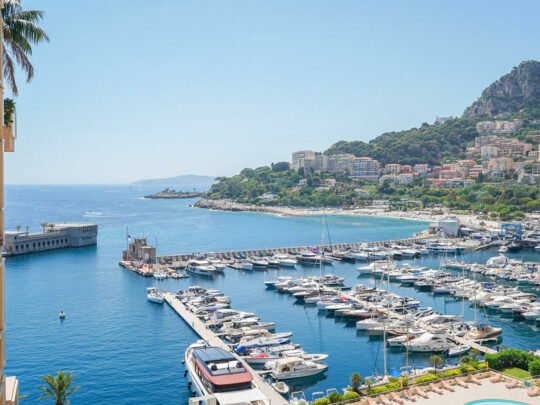 FONTVIEILLE - SEASIDE PLAZA - 7 ROOMS SEA VIEW