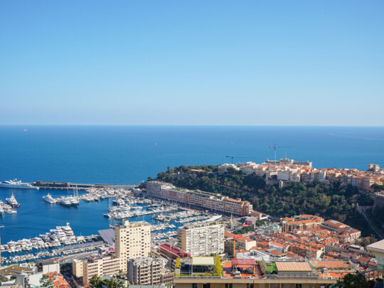 EXOTIC GARDEN - 2-BEDS ROOFTOP DUPLEX - SEA VIEW