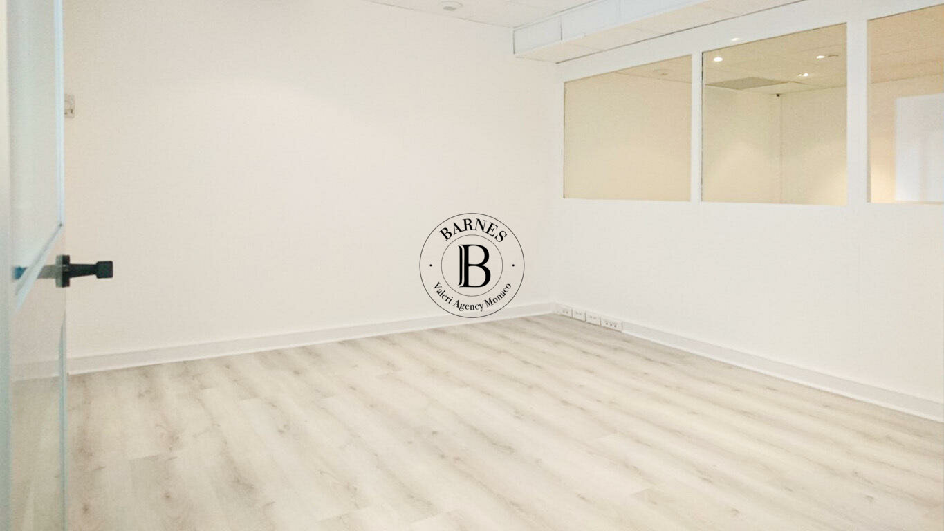 FONTVIEILLE PORT - OPEN SPACE OFFICE - 3/5