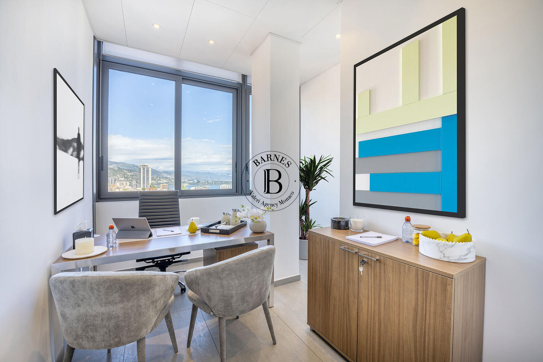 GIARDINO ESOTICO - AMPIO UFFICIO PRIVATO - 2/4